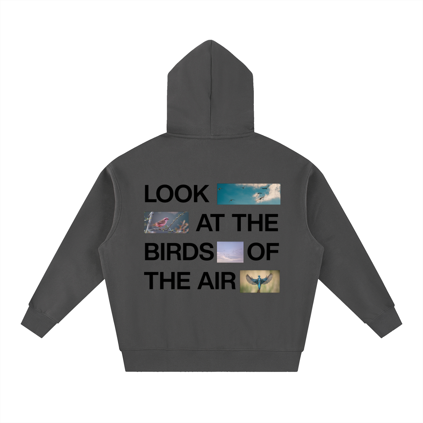 Look at the Birds Oversized Boxy Hoodie