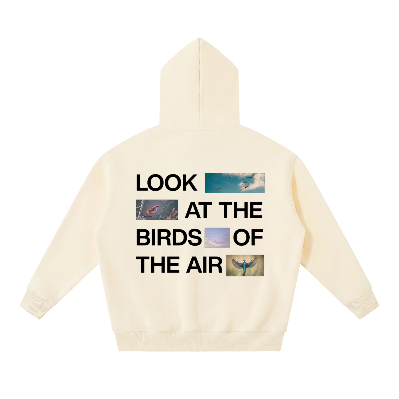 Look at the Birds Oversized Boxy Hoodie
